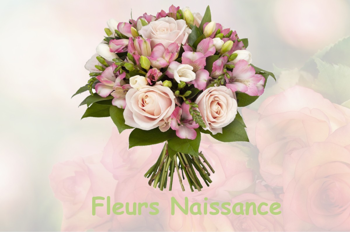 fleurs naissance ARDIEGE