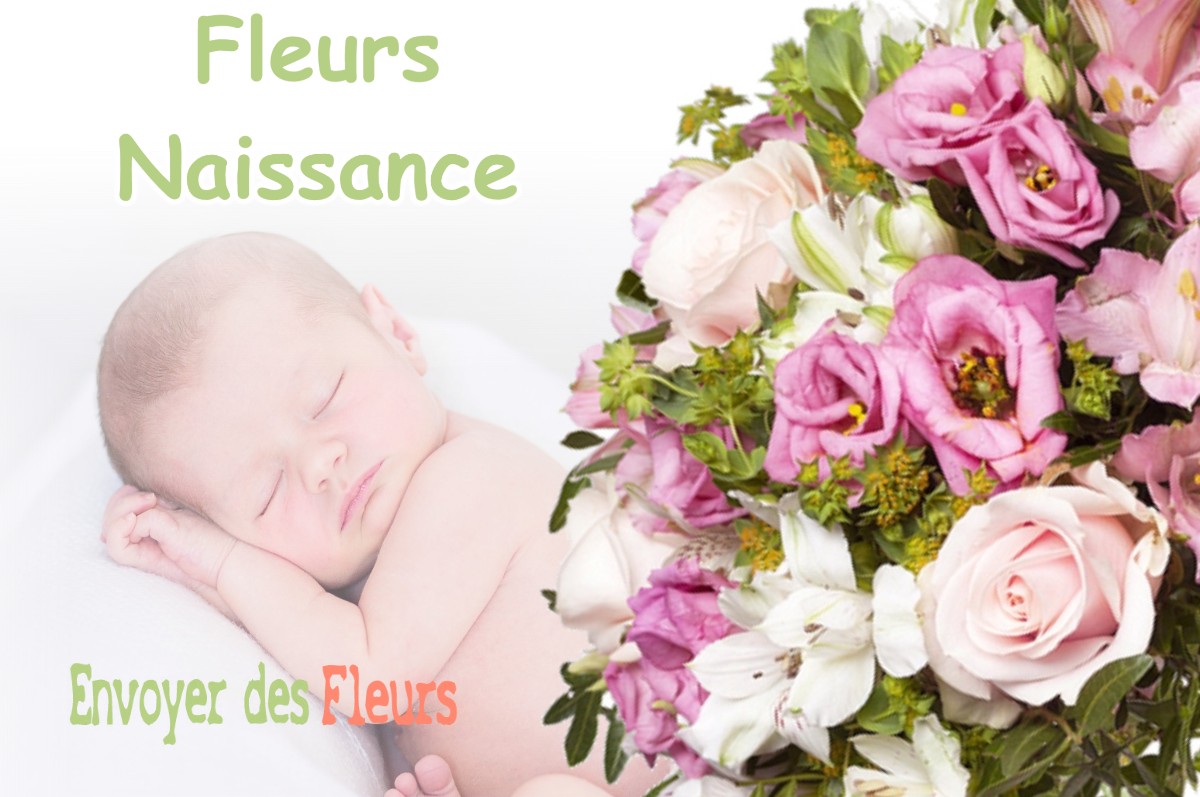 lIVRAISON FLEURS NAISSANCE à ARDIEGE